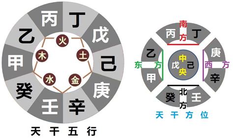 五行 甲木|天干